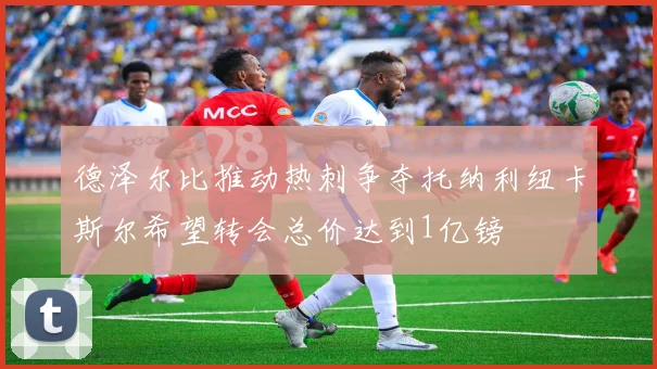 德泽尔比推动热刺争夺托纳利纽卡斯尔希望转会总价达到1亿镑