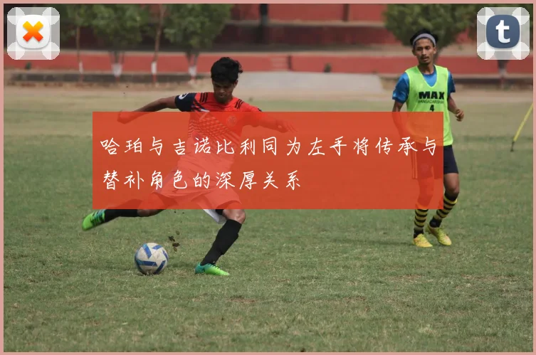哈珀与吉诺比利同为左手将传承与替补角色的深厚关系