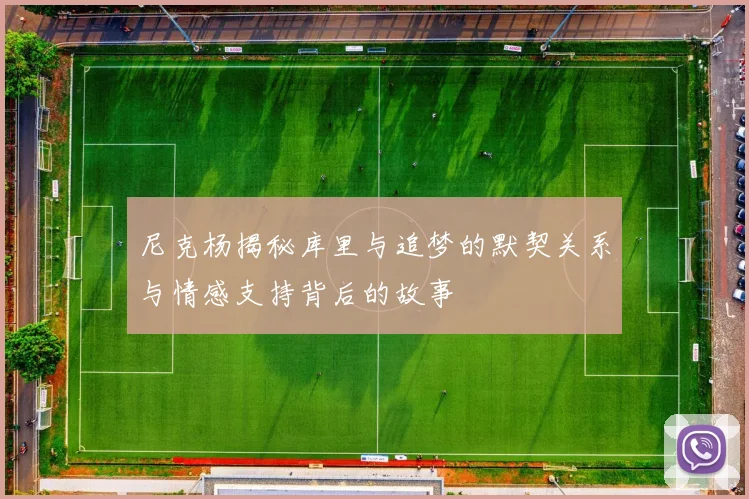 尼克杨揭秘库里与追梦的默契关系与情感支持背后的故事